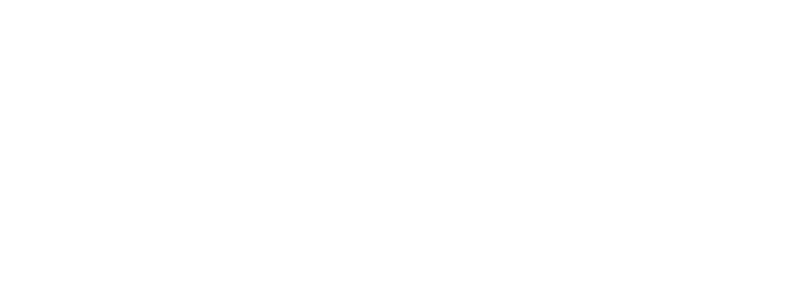 Logo Villa blanc